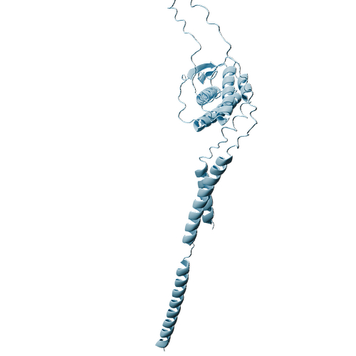 P21583-Human SCF-3d structure.jpg